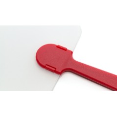 50 Pai Pai Translucent Plastic | Regalos Gourmet Online