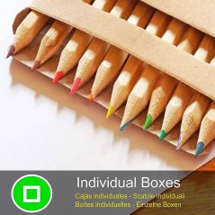 Cardboard Box of 12 Mini Pencils