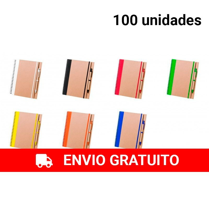 100 Notebooks with Pens