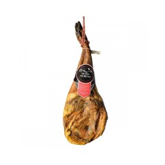 Iberian bait shoulder of the Dehesa de Extremadura