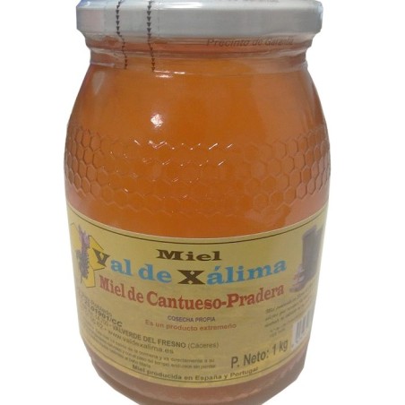 Thyme Honey of Sierra de Gata