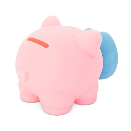 Pink and Blue Piggy Bank