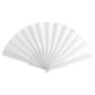 LOT DE 25 EVENTAILS BLANCS