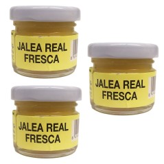 Lote 3 unidades Jalea Real fresca 30 gramos