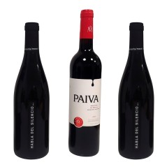 Estuches de vinos y productos gourmet para regalar