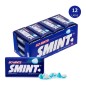 2 CAJAS 12 Latas SMINT Tin Menta caramelo comprimido 35 gr