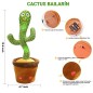 Cactus Bailarin, parlanchin con canciones