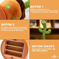 Cactus dansant et musical