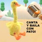 Pato Bailarín, parlanchin con canciones