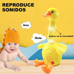 Dancing Duck, Talking Duck with Songs