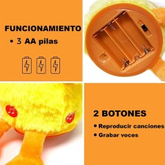 Dancing Cactus and Duck, Talking Toys with Songs