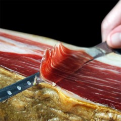 Iberian bait shoulder of the Dehesa de Extremadura