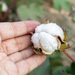 Sac cabas en coton avec anses, 115 g