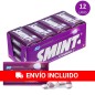 Box of 12 tins Smint red fruit candies 35g