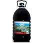 Pitarra red wine 5L