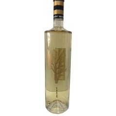 Acheter en ligne vin blanc parle de la mer de Bodegas Habla 75 cl