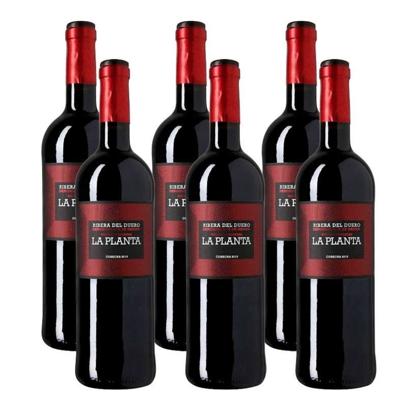 Wine "La Planta" D.O. Ribera del Duero 75 cl -  6 bottles