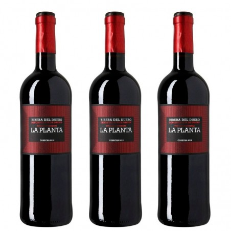 Vin La Planta de Arzuaga - Vin Rouge Ribera del Duero - 3 bouteilles