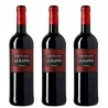 La Planta de Arzuaga Wine - Red Wine Ribera del Duero - 3 bottles