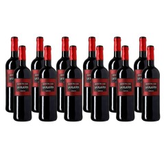 La Planta de Arzuaga Wine - Red Wine Ribera del Duero - 12 bottles