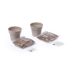 Set of Pots with Mint and Parsley Seeds | Gourmet Gifts Online