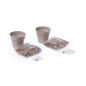Mint and Parsley Seedling Pot Set