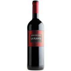 Regalo para cumpleaños con vino La Planta | Regalos Gourmet Online