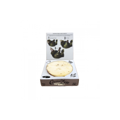 Dessert crémeux Zújar à la truffe noire