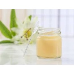 ▷ Gelee royale fraiche et naturelle【Gelée pure au meilleur prix】