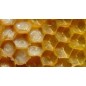 Royal Jelly of Spain (30 g)