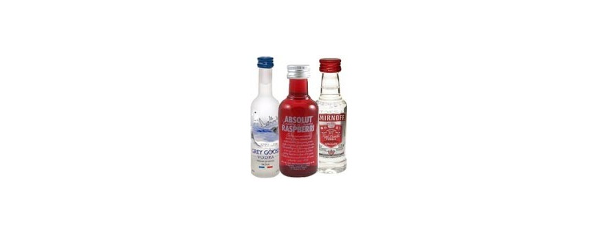 Vodka miniatures for wedding details or guest gifts