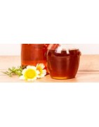 Buy single-flower honey of Spain. Natural honey and pure honey.