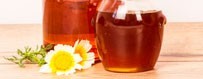 Comprar miel monofloral de Extremadura natural y pura online