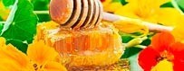 Comprar miel multifloral natural online de Extremadura