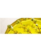 ≫ Comprar aceite de oliva gourmet ✅ y aromáticas de Extremadura